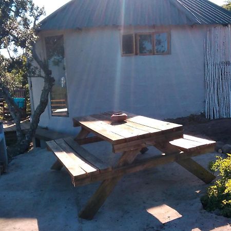 Wildview Self Catering Cottages Coffee Bay, Breakfast & Wi-Fi Inc Eksteriør billede