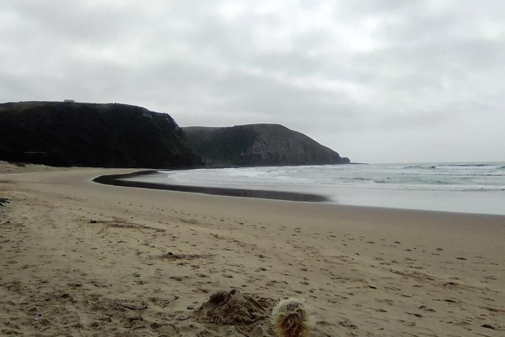 Wildview Self Catering Cottages Coffee Bay, Breakfast & Wi-Fi Inc Eksteriør billede