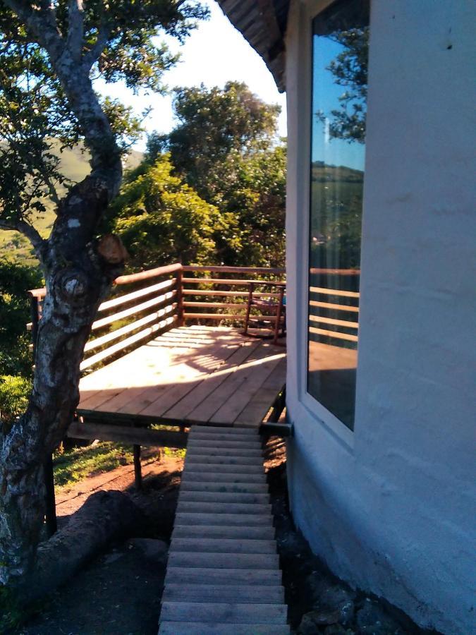 Wildview Self Catering Cottages Coffee Bay, Breakfast & Wi-Fi Inc Eksteriør billede