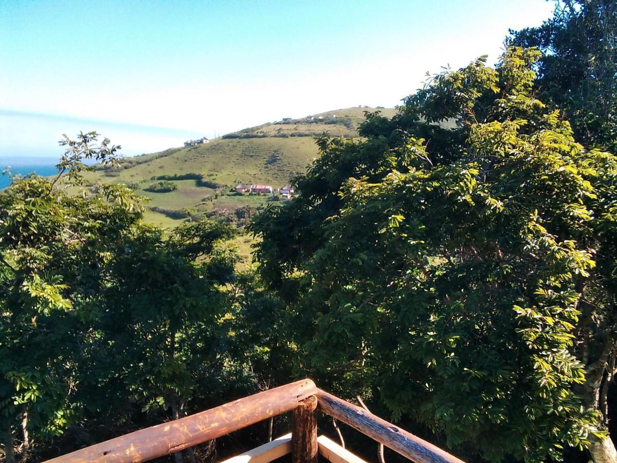 Wildview Self Catering Cottages Coffee Bay, Breakfast & Wi-Fi Inc Eksteriør billede