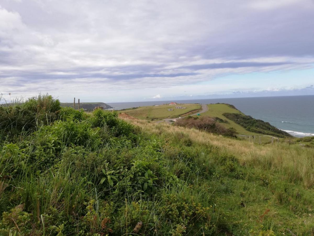 Wildview Self Catering Cottages Coffee Bay, Breakfast & Wi-Fi Inc Eksteriør billede