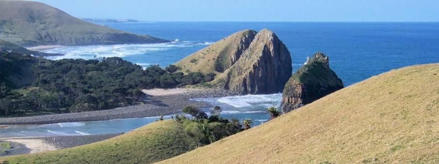 Wildview Self Catering Cottages Coffee Bay, Breakfast & Wi-Fi Inc Eksteriør billede