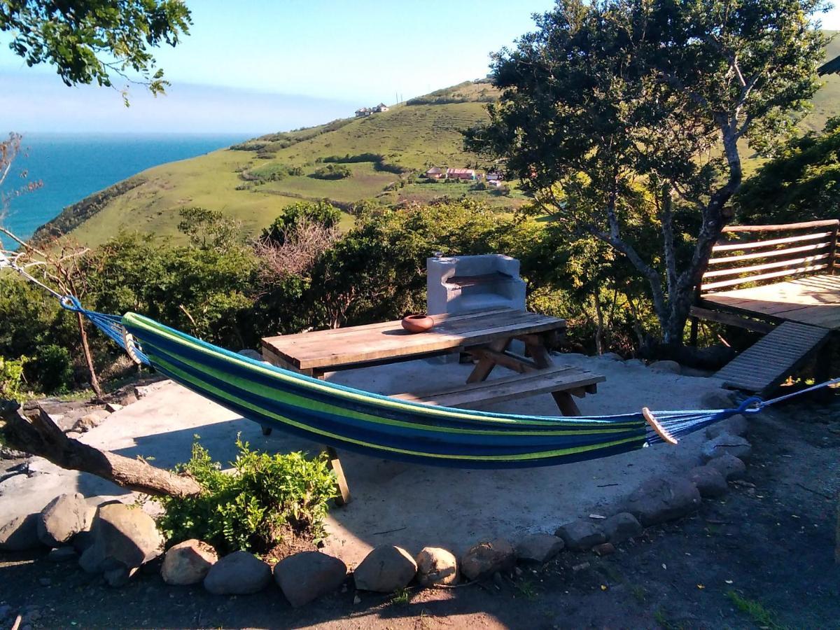 Wildview Self Catering Cottages Coffee Bay, Breakfast & Wi-Fi Inc Eksteriør billede