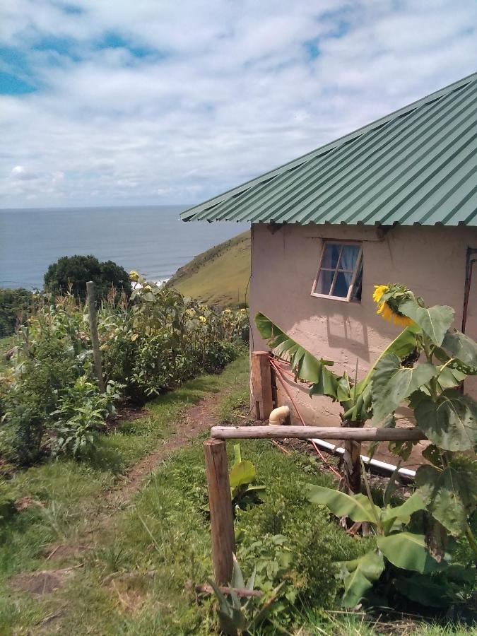 Wildview Self Catering Cottages Coffee Bay, Breakfast & Wi-Fi Inc Eksteriør billede